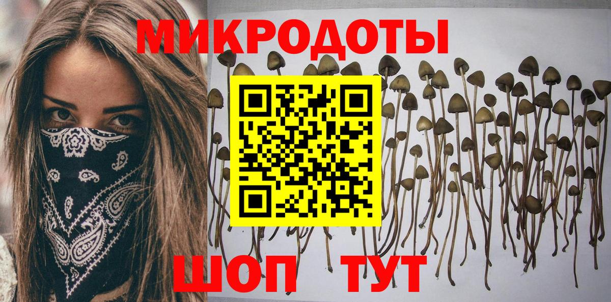 Псилоцибиновые грибы MAGIC MUSHROOMS  сколько стоит  Слободской  Вход с VPN 