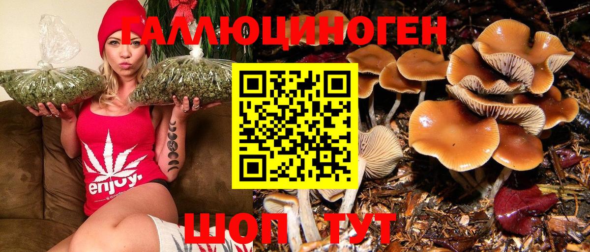 Псилоцибиновые грибы MAGIC MUSHROOMS Слободской